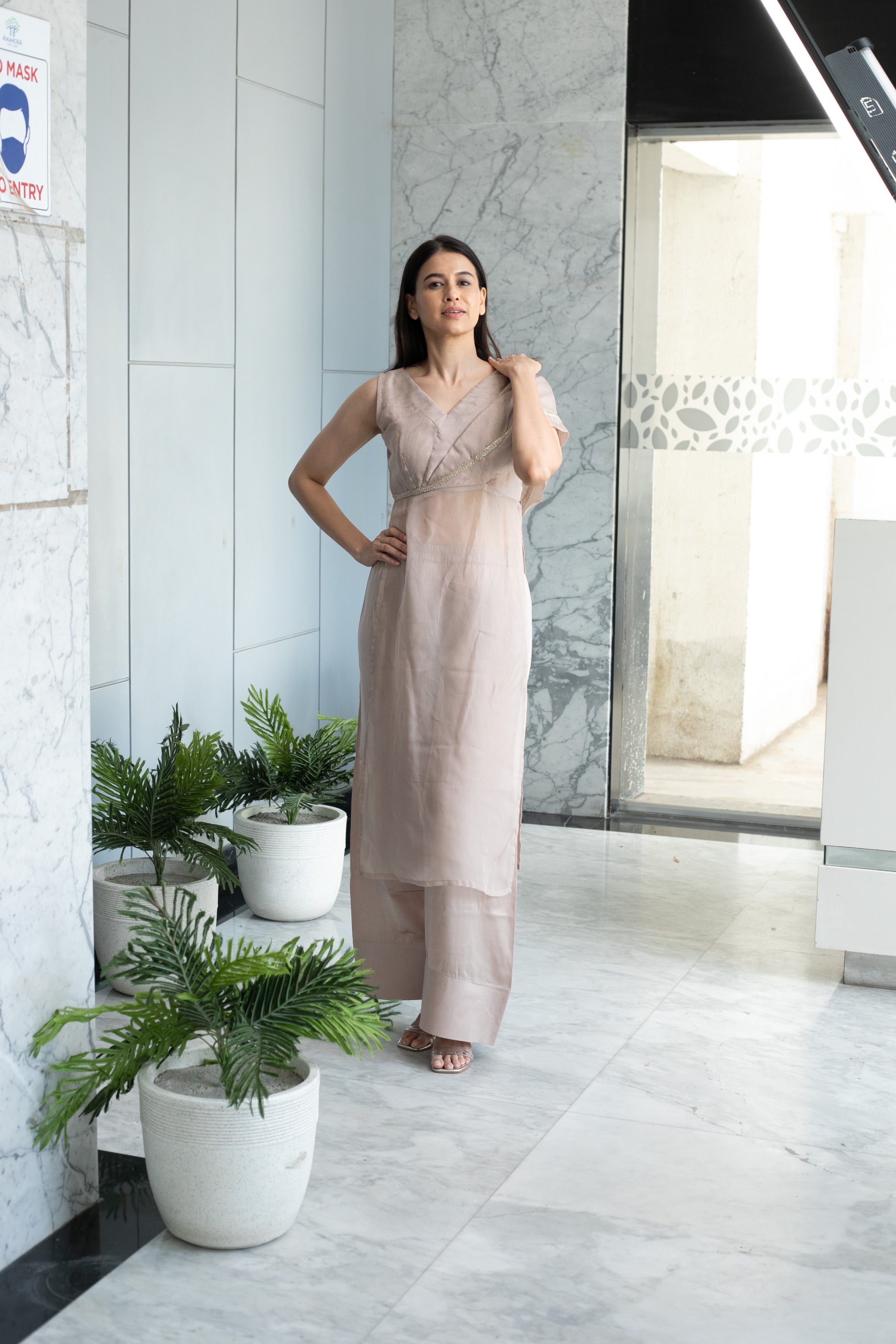 Dusty Veil - Elegant Kurta Set